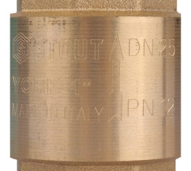 Клапан обратный пружинный муфтовый с пластиковым седлом 1 STOUT SVC-0012-000025 в Архангельске 3