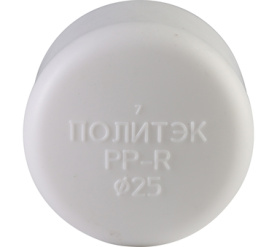 Заглушка для полипропиленовых труб под сварку (цвет белый) Политэк d=25 9000001025 в Архангельске 2