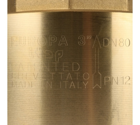 Клапан обратный пружинный муфтовый с металлическим седлом EUROPA 100 3 Itap в Архангельске 7