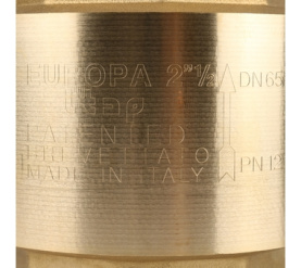 Клапан обратный пружинный муфтовый с металлическим седлом EUROPA 100 2 1/2 Itap в Архангельске 7